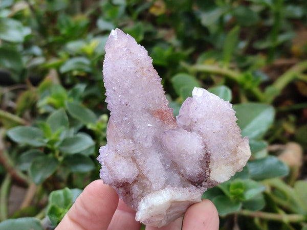 Natural Drusy Amethyst Spirit Clusters x 6 From Boekenhouthoek, South Africa
