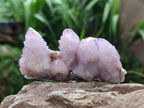 Natural Drusy Amethyst Spirit Clusters x 6 From Boekenhouthoek, South Africa
