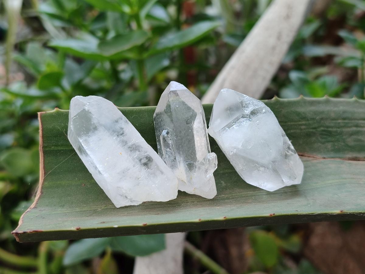 Natural Clear Quartz Crystals x 70 From Madagascar