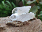 Natural Clear Quartz Crystals x 70 From Madagascar