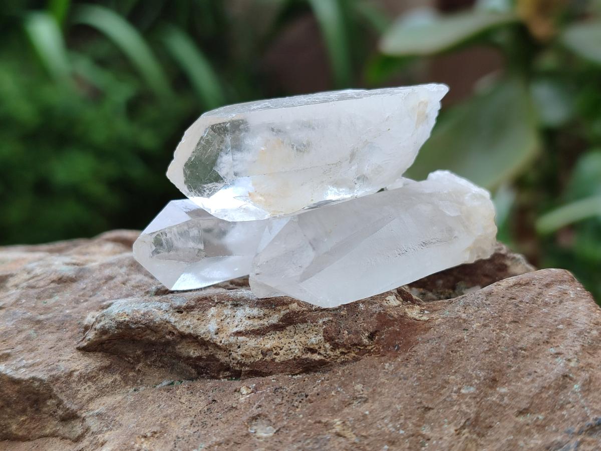 Natural Clear Quartz Crystals x 70 From Madagascar