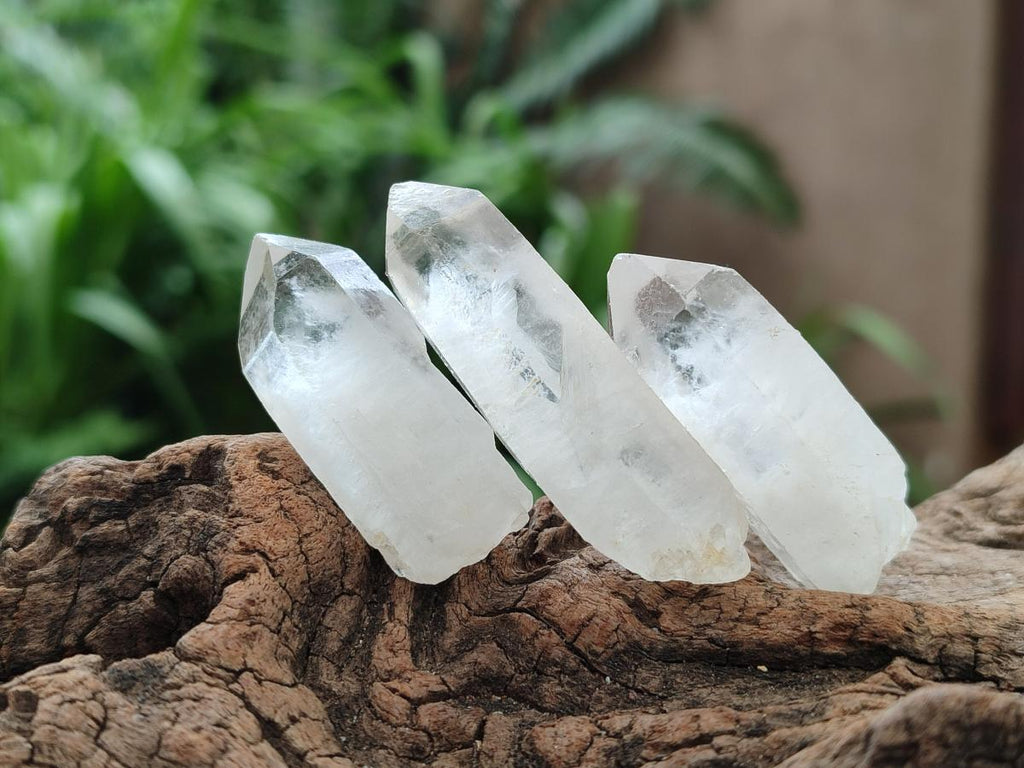 Natural Clear Quartz Crystals x 70 From Madagascar