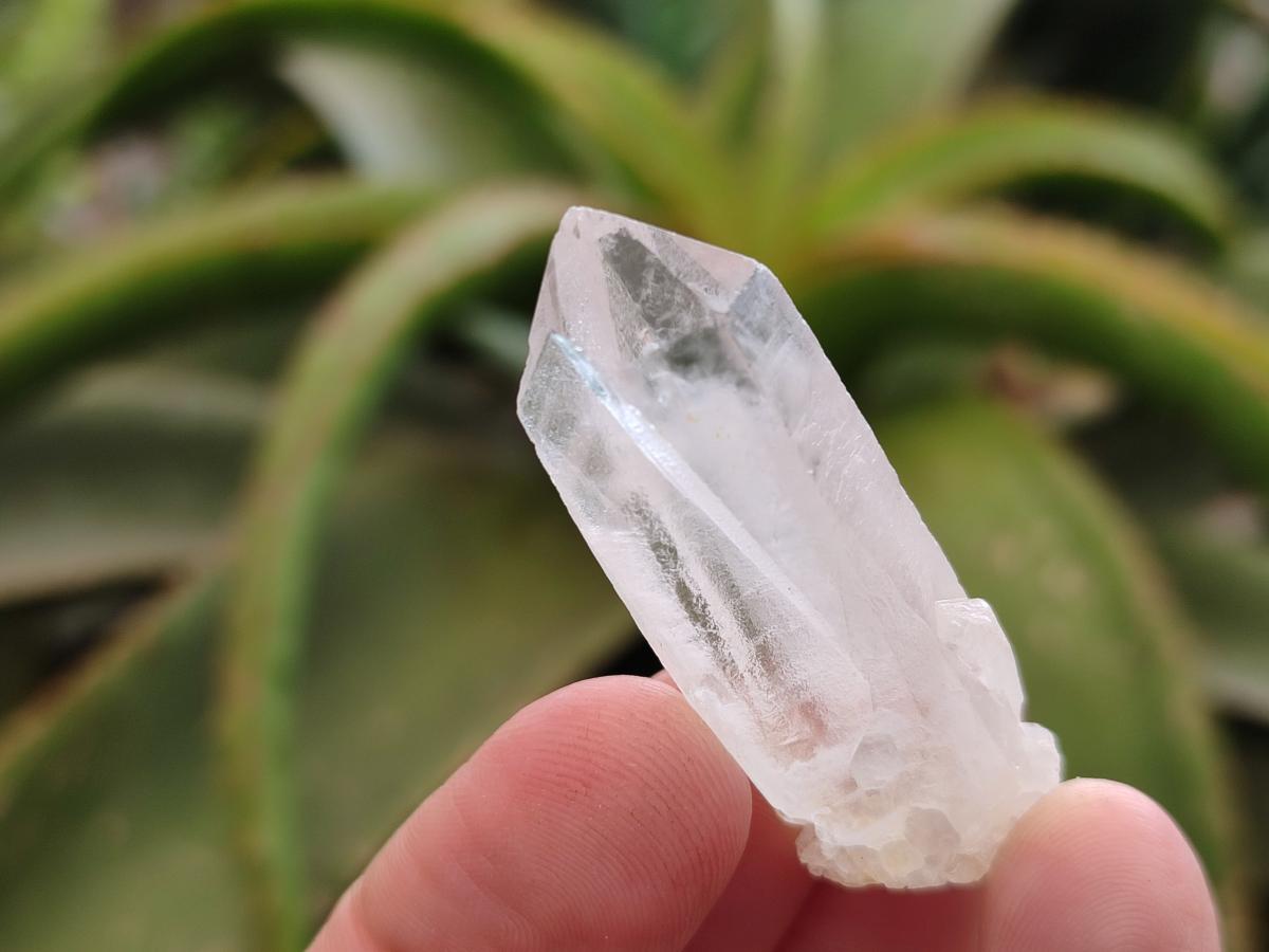Natural Clear Quartz Crystals x 70 From Madagascar
