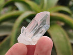 Natural Clear Quartz Crystals x 70 From Madagascar