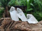Natural Clear Quartz Crystals x 70 From Madagascar