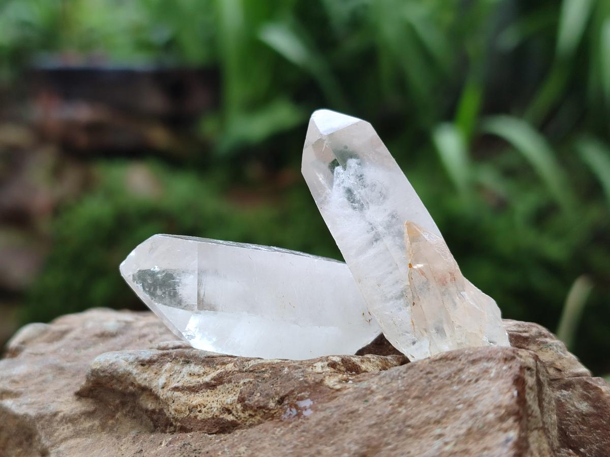 Natural Clear Quartz Crystals x 70 From Madagascar