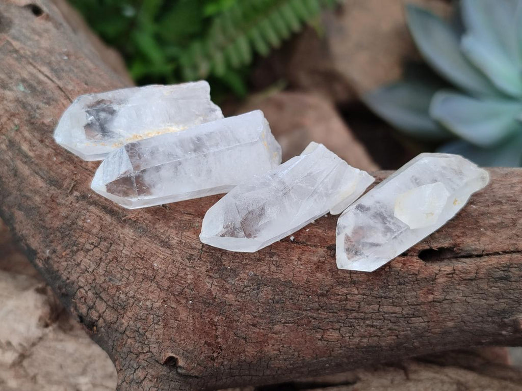 Natural Clear Quartz Crystals x 70 From Madagascar
