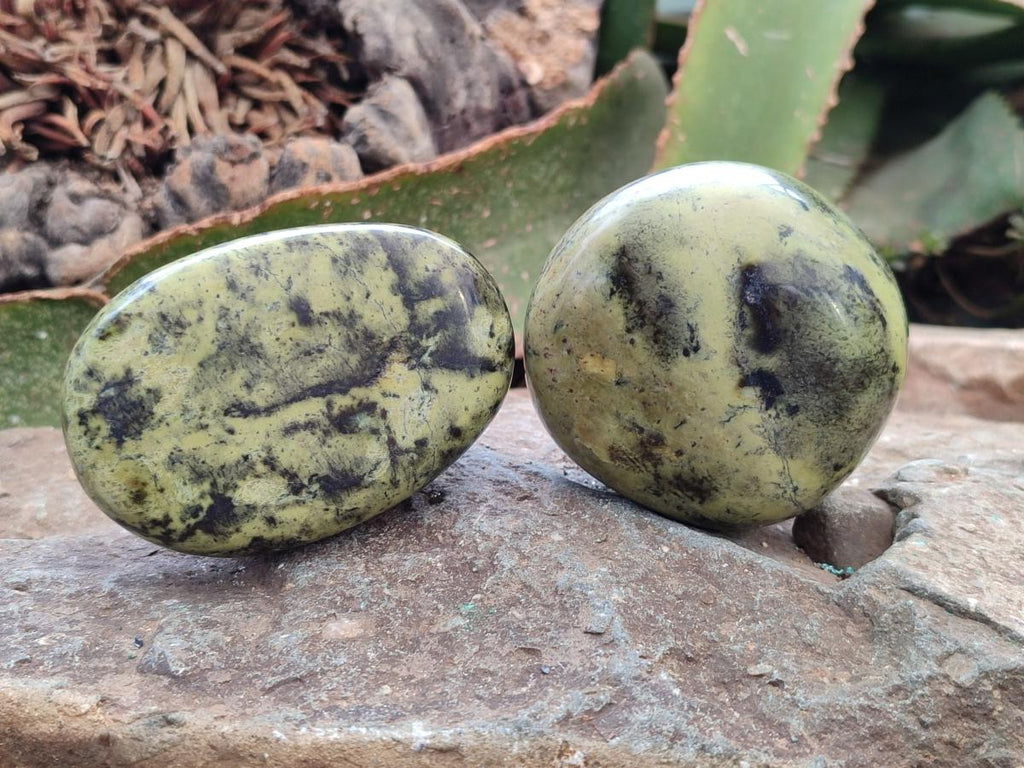 Polished Leopard Free Forms x 6 From Zimbabwe - Toprock Gemstones and Minerals 