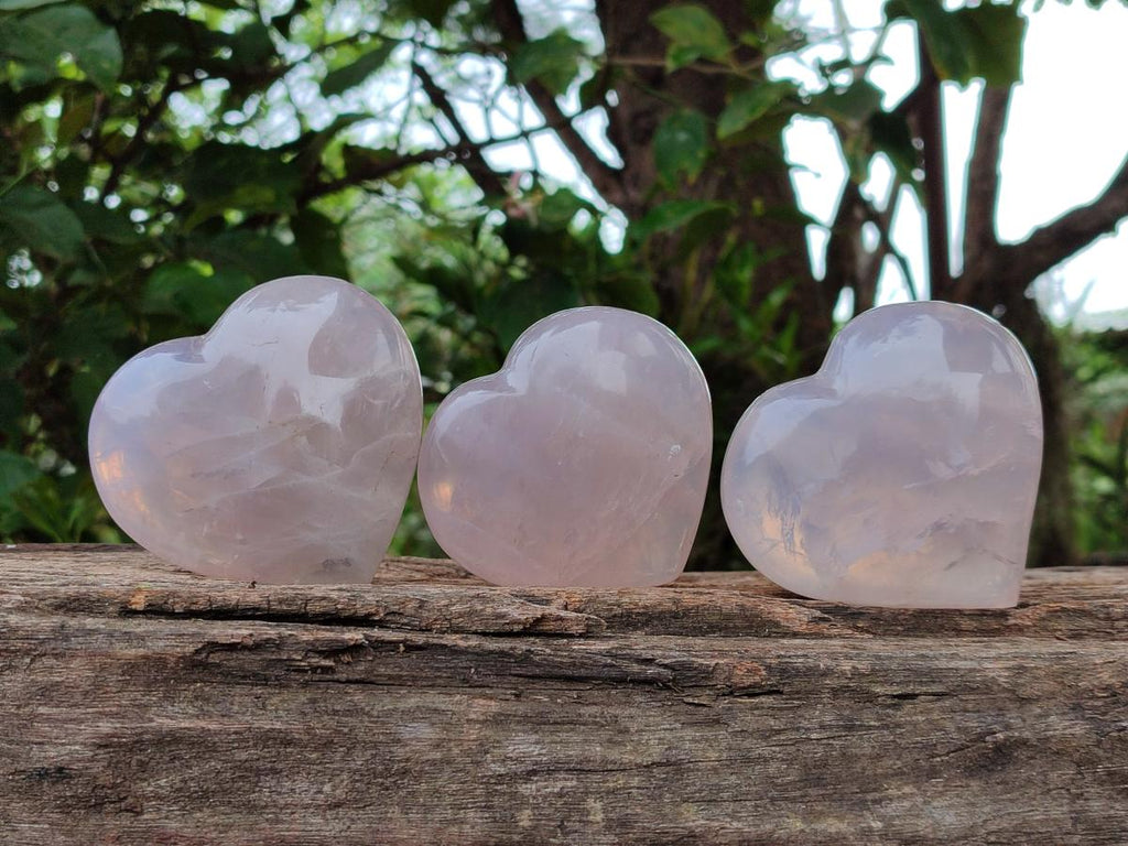 Polished Gemmy Rose Quartz Hearts x 6 From Madagascar