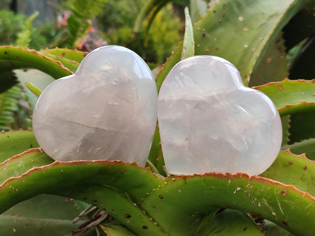 Polished Gemmy Rose Quartz Hearts x 6 From Madagascar
