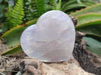 Polished Gemmy Rose Quartz Hearts x 6 From Madagascar