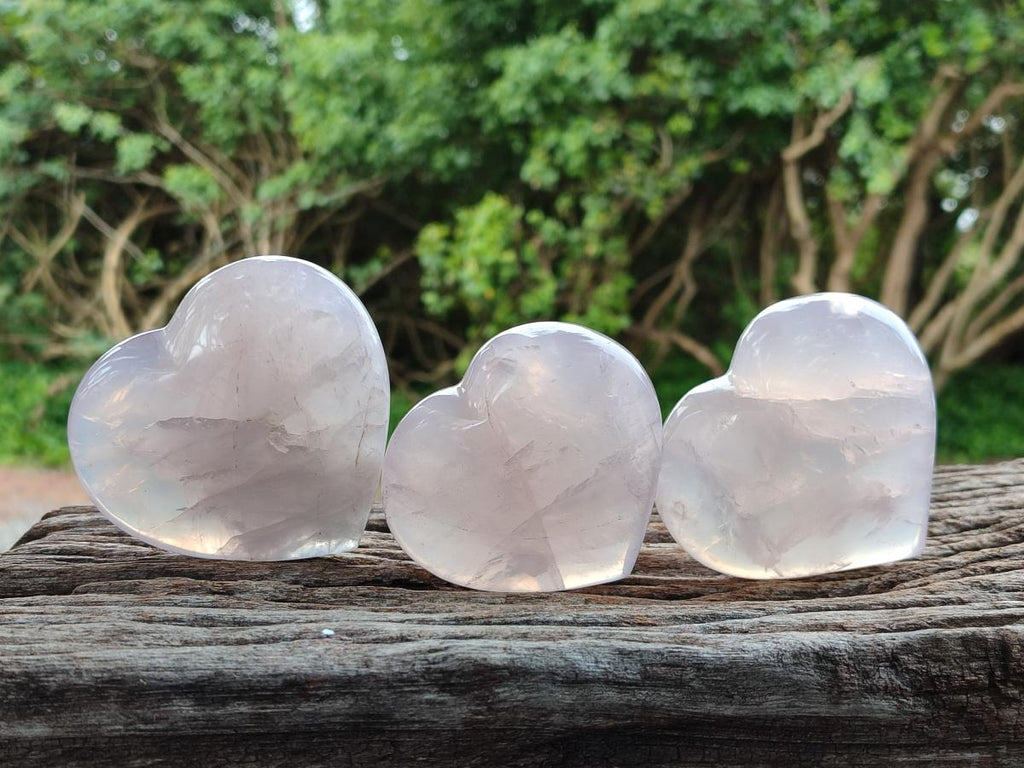 Polished Gemmy Rose Quartz Hearts x 6 From Madagascar