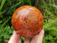 Polished Red and Yellow Flame Jasper Spheres x 2 From Madagascar