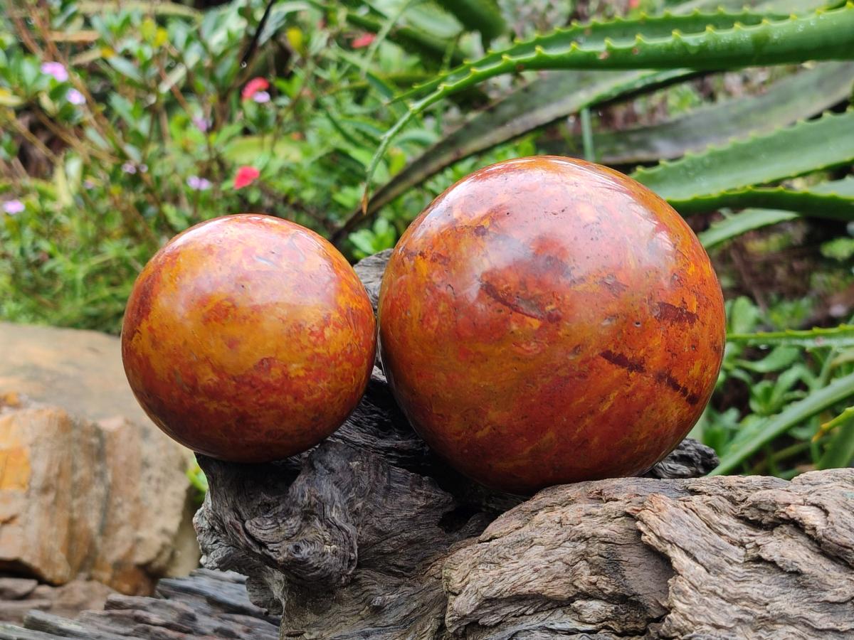 Polished Red and Yellow Flame Jasper Spheres x 2 From Madagascar