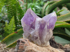 Natural Jacaranda Amethyst Crystal Clusters x 6 From Mumbwa, Zambia