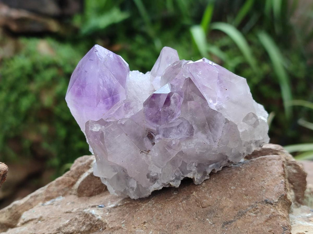Natural Jacaranda Amethyst Crystal Clusters x 6 From Mumbwa, Zambia