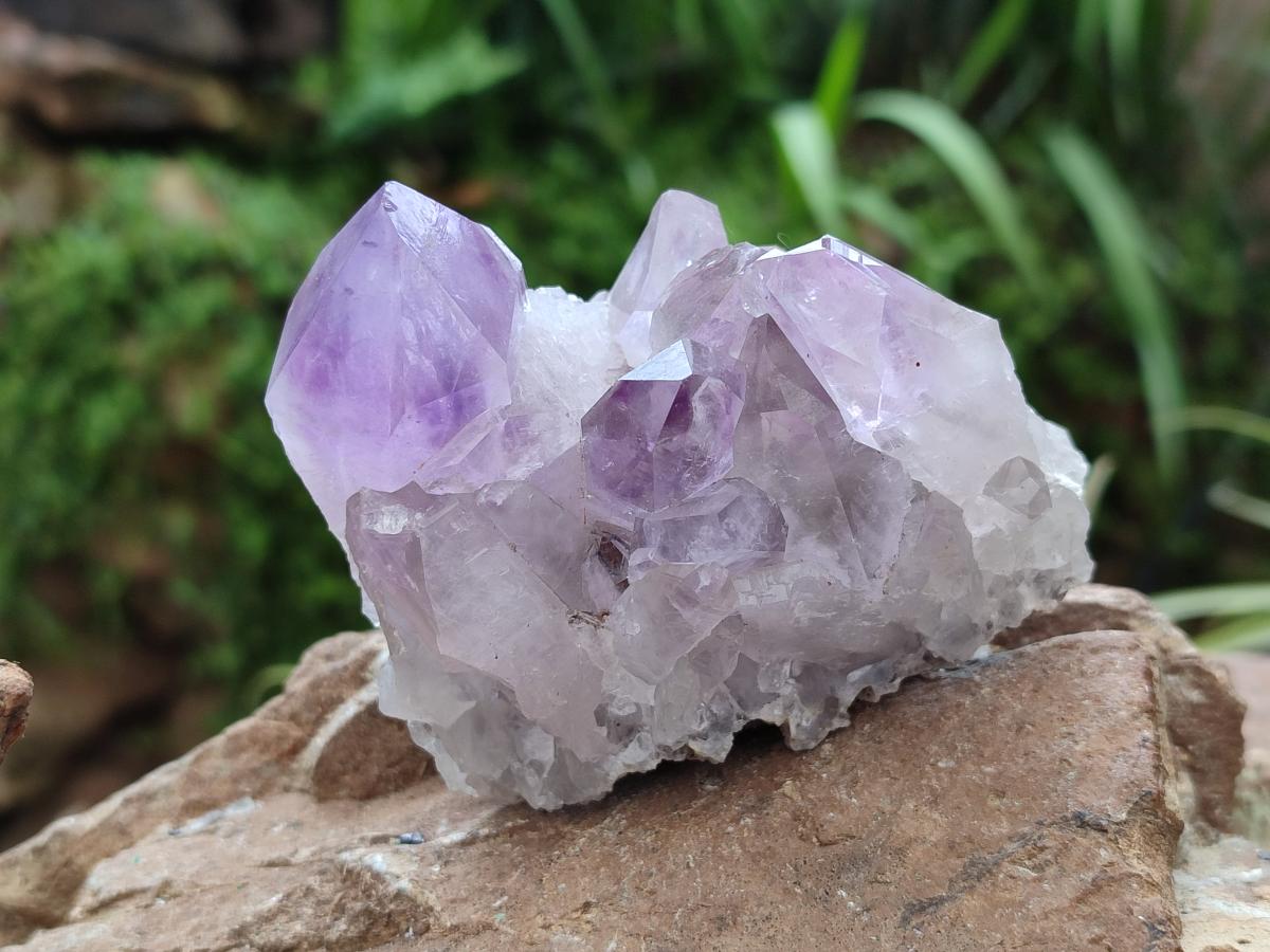 Natural Jacaranda Amethyst Crystal Clusters x 6 From Mumbwa, Zambia