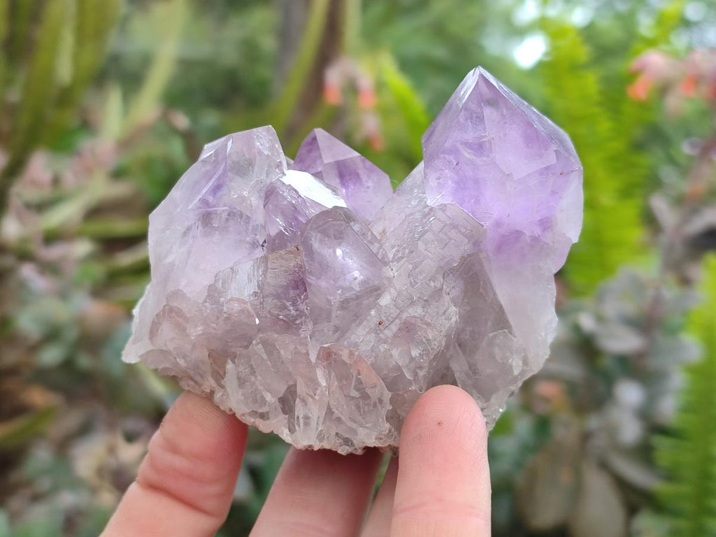 Natural Jacaranda Amethyst Crystal Clusters x 6 From Mumbwa, Zambia