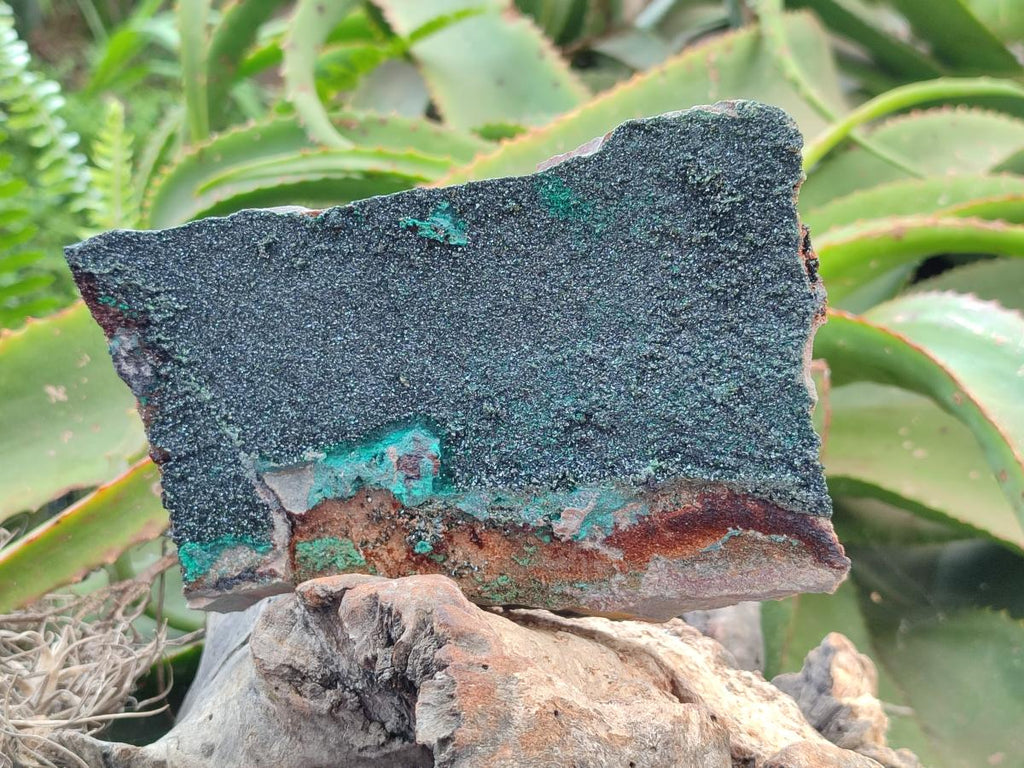 Natural Large Dark Green Libethenite Crystalline Cabinet Specimen x 1 From Shituru, Congo - Toprock Gemstones and Minerals 