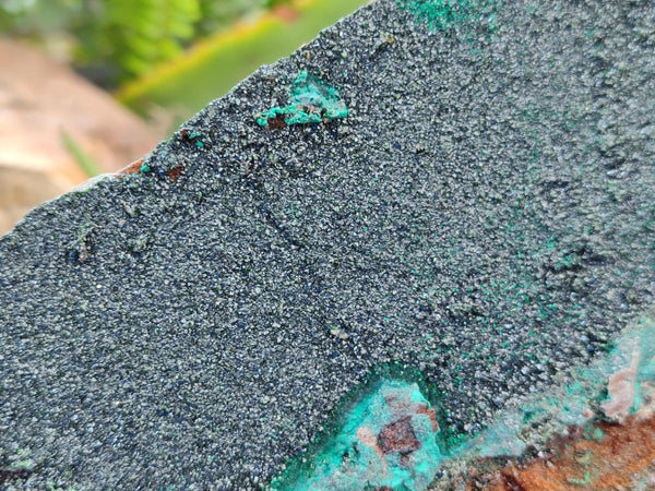 Natural Large Dark Green Libethenite Crystalline Cabinet Specimen x 1 From Shituru, Congo
