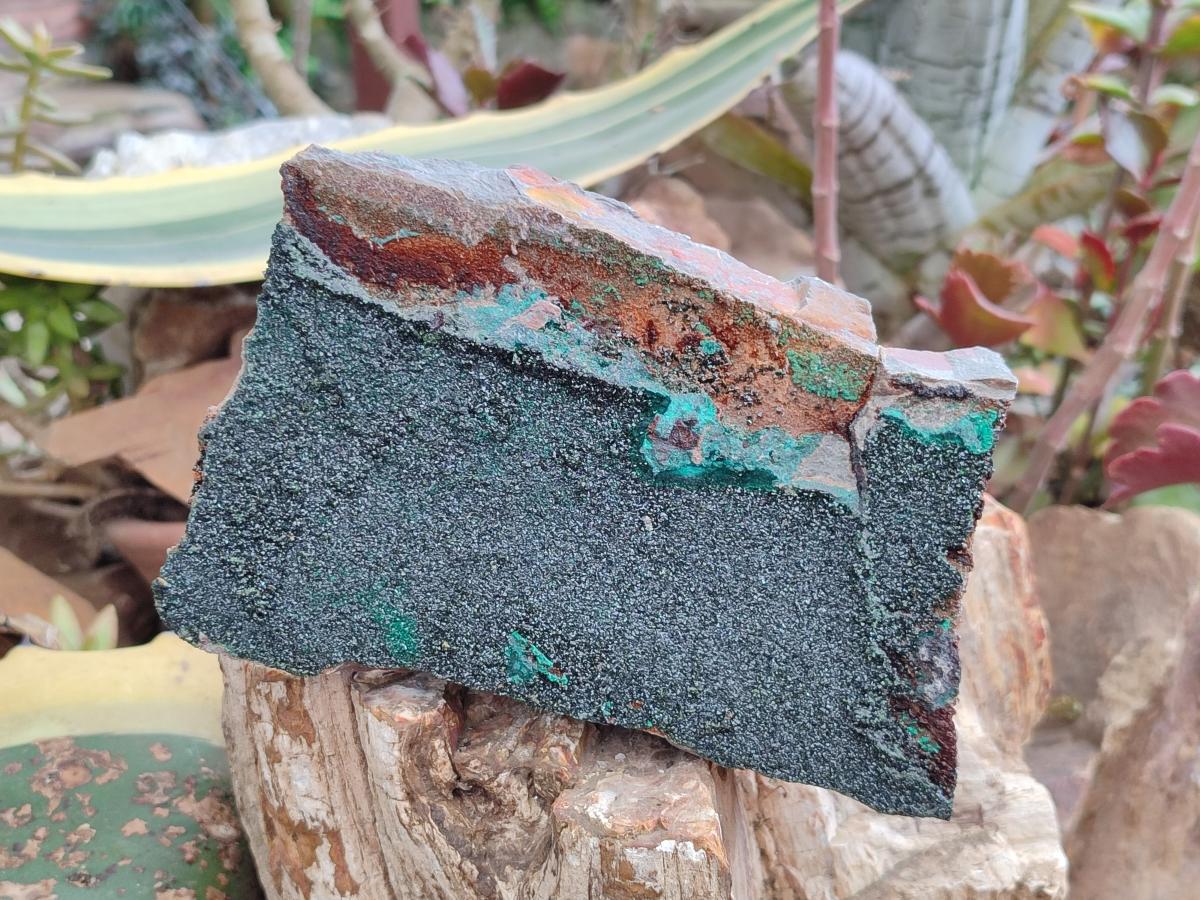 Natural Large Dark Green Libethenite Crystalline Cabinet Specimen x 1 From Shituru, Congo - Toprock Gemstones and Minerals 