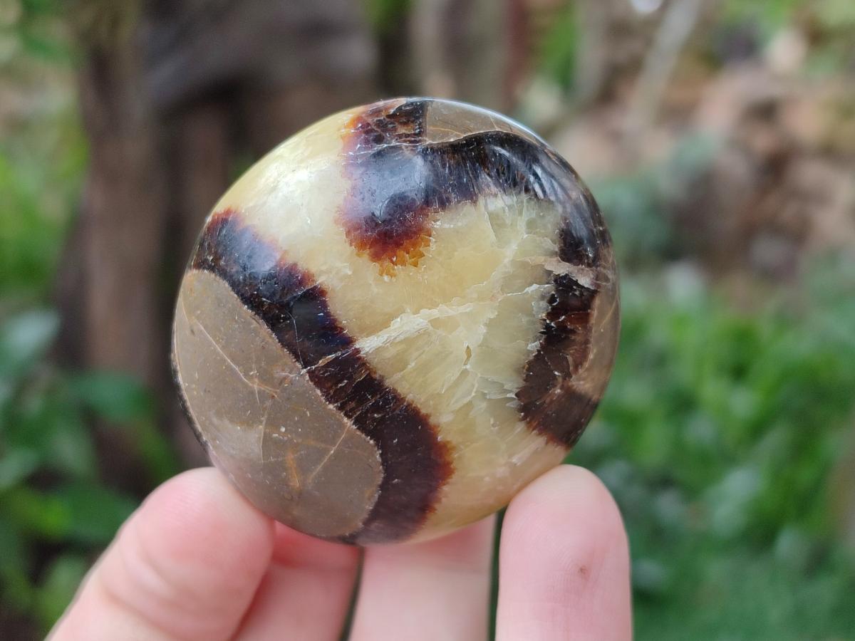 Polished Septerye Galets x 12 From Mahajanga, Madagascar