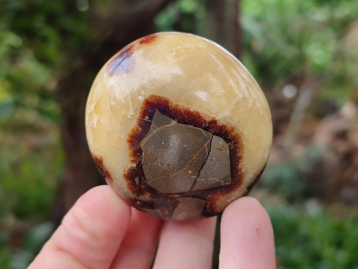 Polished Septerye Galets x 12 From Mahajanga, Madagascar