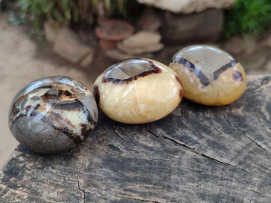 Polished Septerye Galets x 12 From Mahajanga, Madagascar