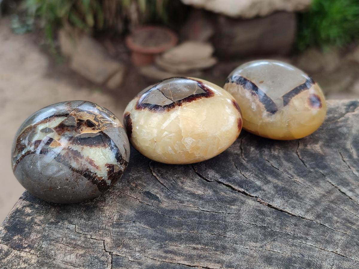 Polished Septerye Galets x 12 From Mahajanga, Madagascar