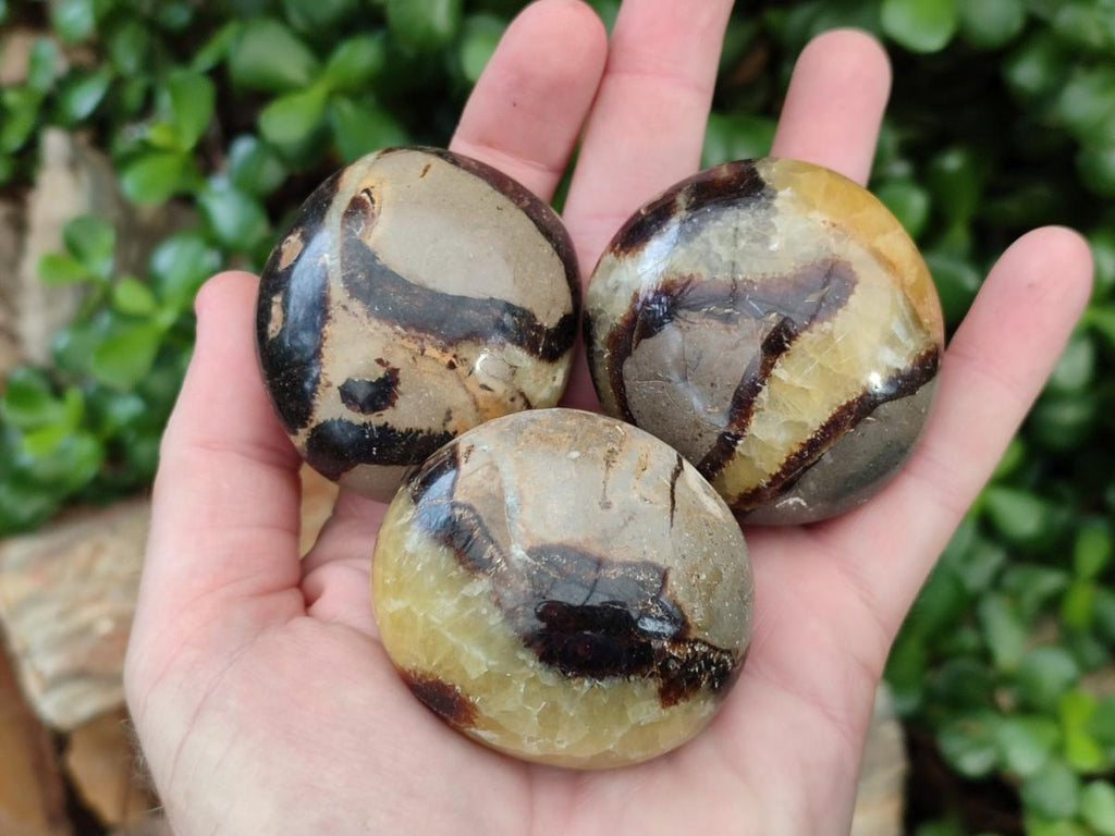 Polished Septerye Galets x 12 From Mahajanga, Madagascar