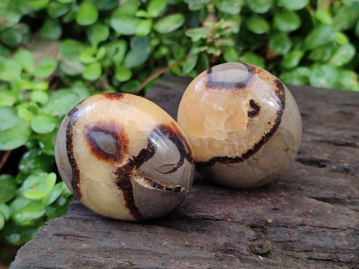 Polished Septerye Galets x 12 From Mahajanga, Madagascar