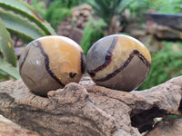 Polished Septerye Galets x 12 From Mahajanga, Madagascar