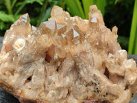 Natural Large Clear Smokey Citrine Quartz Cluster x 1 From Luena, Congo