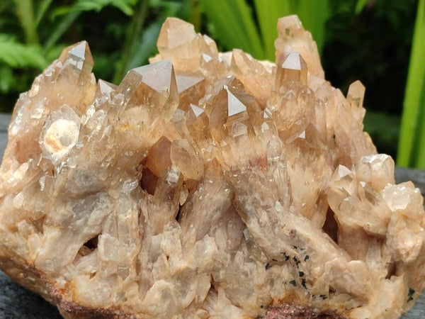 Natural Large Clear Smokey Citrine Quartz Cluster x 1 From Luena, Congo
