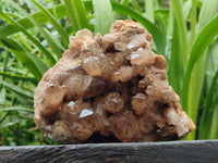 Natural Large Clear Smokey Citrine Quartz Cluster x 1 From Luena, Congo
