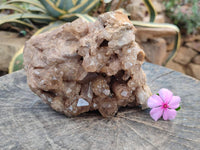 Natural Large Clear Smokey Citrine Quartz Cluster x 1 From Luena, Congo