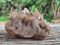 Natural Large Clear Smokey Citrine Quartz Cluster x 1 From Luena, Congo