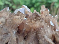 Natural Large Clear Smokey Citrine Quartz Cluster x 1 From Luena, Congo