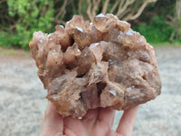 Natural Large Clear Smokey Citrine Quartz Cluster x 1 From Luena, Congo