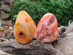 Polished Carnelian Agate Gemstone Standing Free Forms x 5 From Madagascar