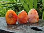 Polished Carnelian Agate Gemstone Standing Free Forms x 5 From Madagascar