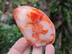Polished Carnelian Agate Gemstone Standing Free Forms x 5 From Madagascar
