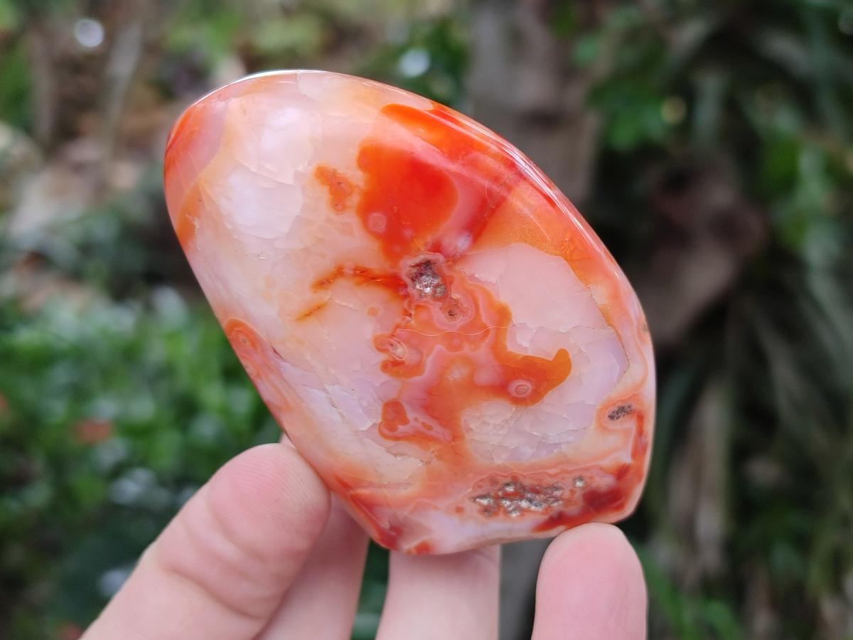 Polished Carnelian Agate Gemstone Standing Free Forms x 5 From Madagascar