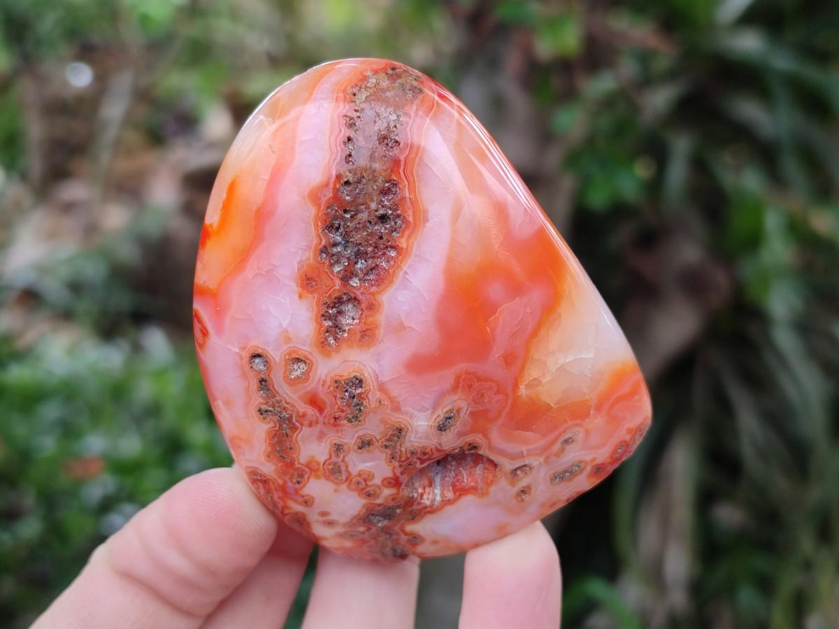 Polished Carnelian Agate Gemstone Standing Free Forms x 5 From Madagascar