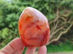 Polished Carnelian Agate Gemstone Standing Free Forms x 5 From Madagascar
