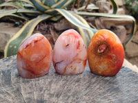 Polished Carnelian Agate Gemstone Standing Free Forms x 5 From Madagascar
