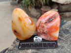 Polished Carnelian Agate Gemstone Standing Free Forms x 5 From Madagascar