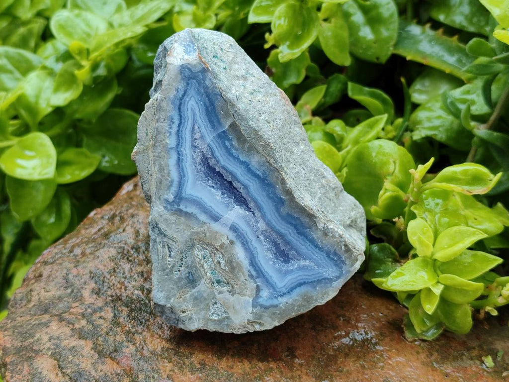 Polished On One Side Blue Lace Agate Geodes x 2 From Nsanje, Malawi