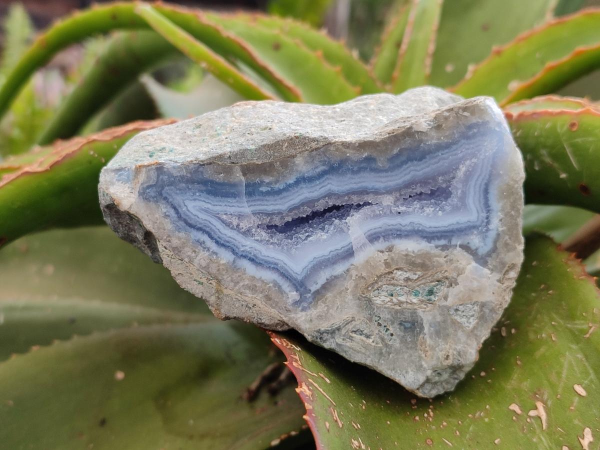 Polished On One Side Blue Lace Agate Geodes x 2 From Nsanje, Malawi