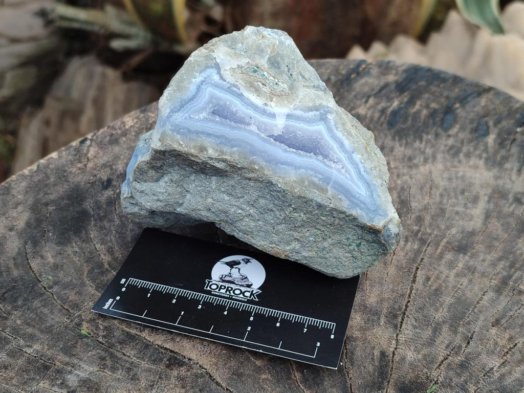 Polished On One Side Blue Lace Agate Geodes x 2 From Nsanje, Malawi